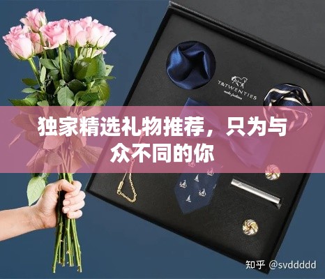 独家精选礼物推荐,只为与众不同的你