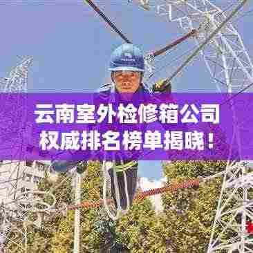 云南室外检修箱公司权威排名榜单揭晓!