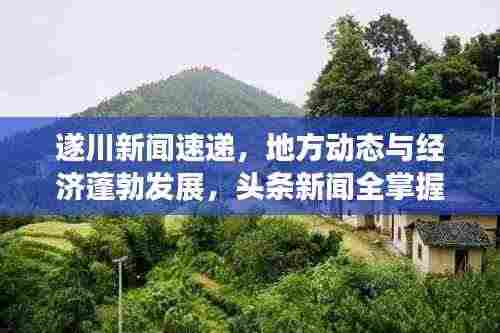 遂川新闻速递，地方动态与经济蓬勃发展，头条新闻全掌握