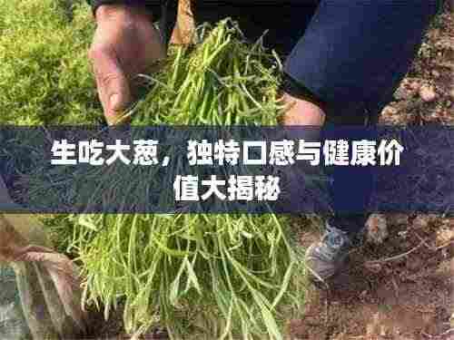 生吃大葱,独特口感与健康价值大揭秘