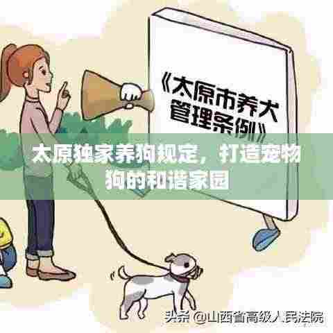 太原独家养狗规定，打造宠物狗的和谐家园