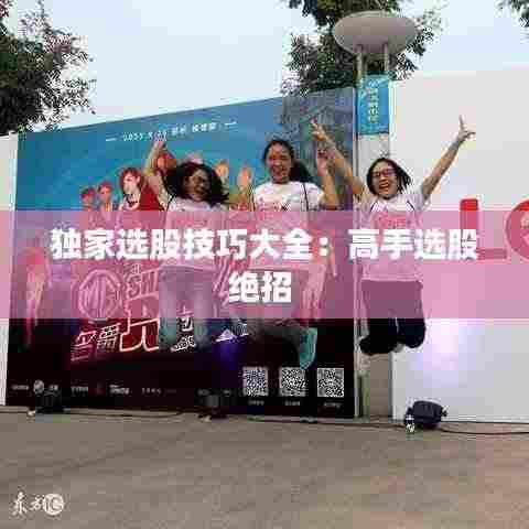 独家选股技巧大全：高手选股绝招 
