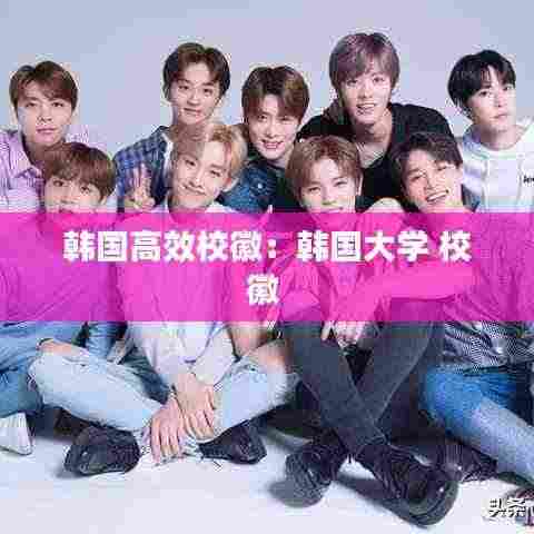 韩国高效校徽：韩国大学 校徽 