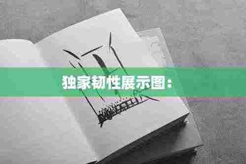 独家韧性展示图: