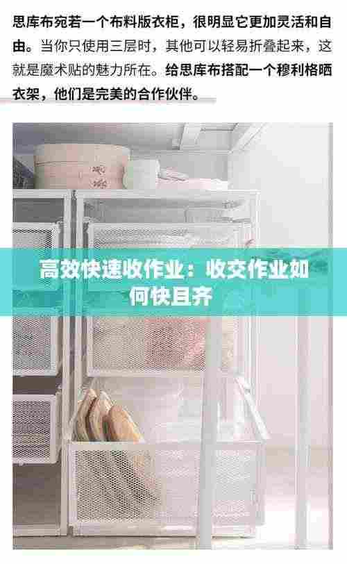 高效快速收作业:收交作业如何快且齐