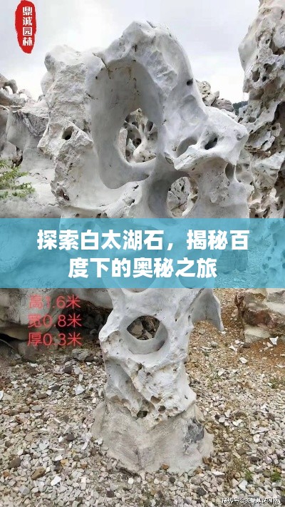 探索白太湖石,揭秘百度下的奥秘之旅