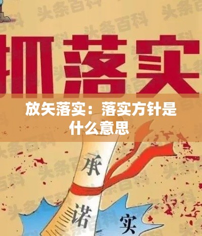 放矢落实:落实方针是什么意思