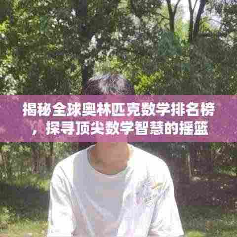 揭秘全球奥林匹克数学排名榜,探寻顶尖数学智慧的摇篮