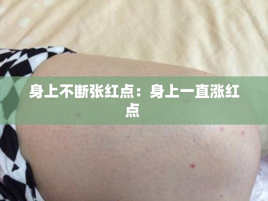 贵戚之卿 第4页