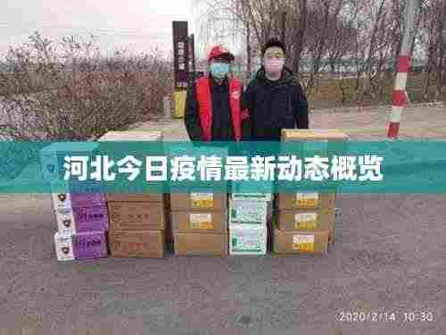 河北今日疫情最新动态概览