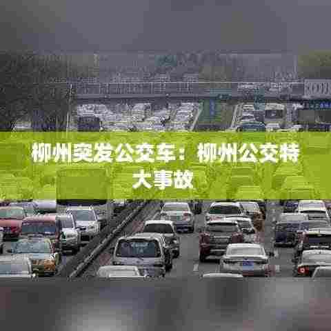 柳州突发公交车：柳州公交特大事故 