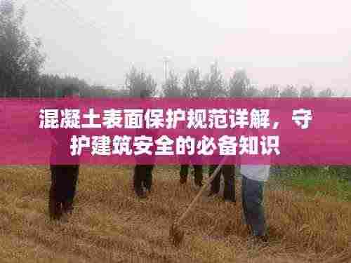 混凝土表面保护规范详解,守护建筑安全的必备知识