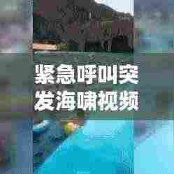 紧急呼叫突发海啸视频：紧急呼救海啸电影在线观看 
