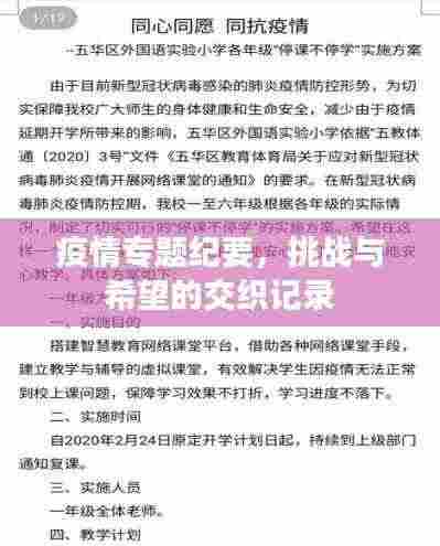 疫情专题纪要，挑战与希望的交织记录