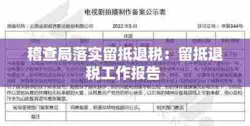 稽查局落实留抵退税:留抵退税工作报告