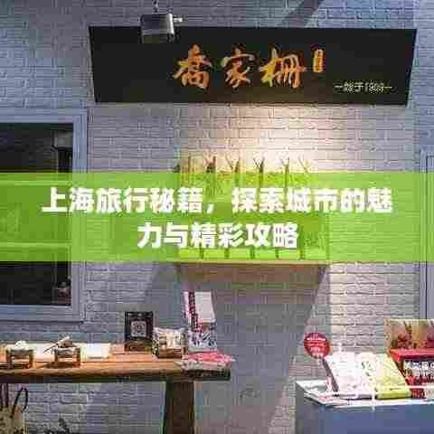 上海旅行秘籍,探索城市的魅力与精彩攻略