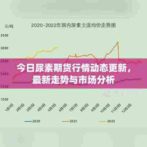 今日尿素期货行情动态更新,最新走势与市场分析