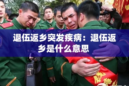 退伍返乡突发疾病:退伍返乡是什么意思