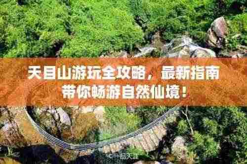 天目山游玩全攻略,最新指南带你畅游自然仙境!