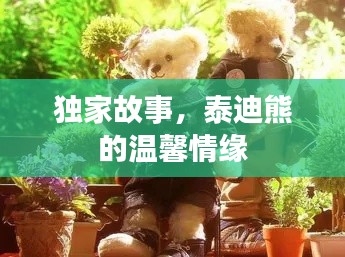 独家故事，泰迪熊的温馨情缘
