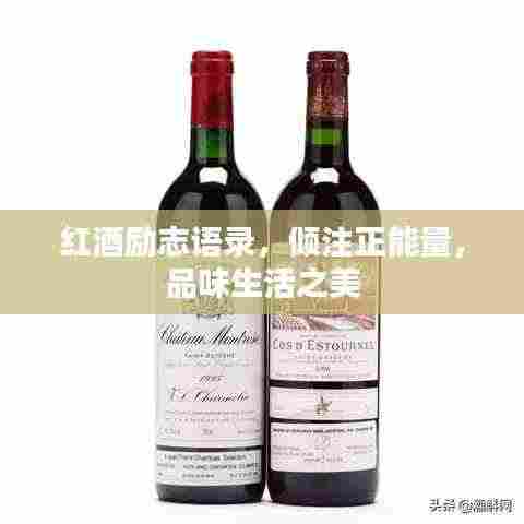 红酒励志语录,倾注正能量,品味生活之美