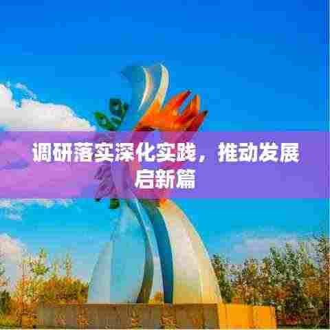 调研落实深化实践，推动发展启新篇