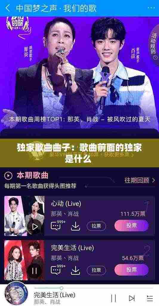 独家歌曲曲子:歌曲前面的独家是什么