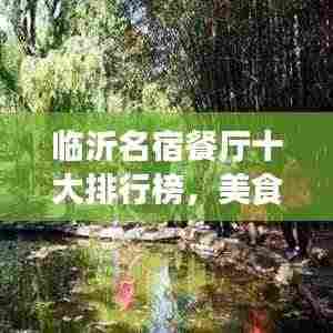 临沂名宿餐厅十大排行榜,美食之旅的绝佳选择