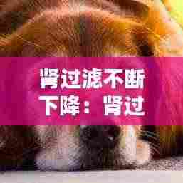 肾过滤不断下降:肾过滤低怎么办