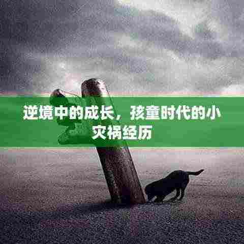 逆境中的成长，孩童时代的小灾祸经历