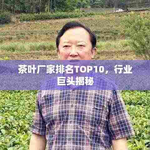 布衣蔬食 第3页