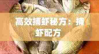 高效捕虾秘方:捕虾配方