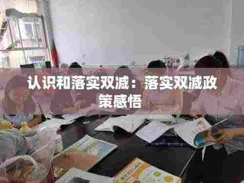 认识和落实双减:落实双减政策感悟