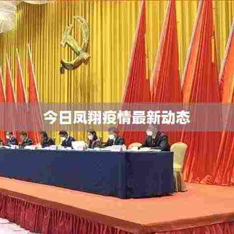 今日凤翔疫情最新动态