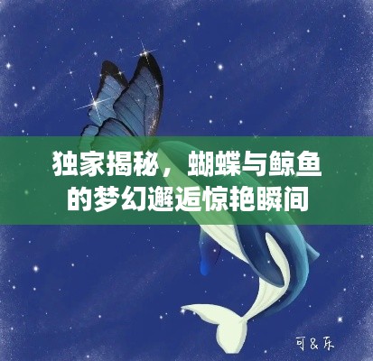 独家揭秘,蝴蝶与鲸鱼的梦幻邂逅惊艳瞬间