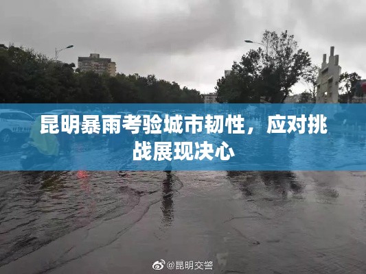 昆明暴雨考验城市韧性,应对挑战展现决心