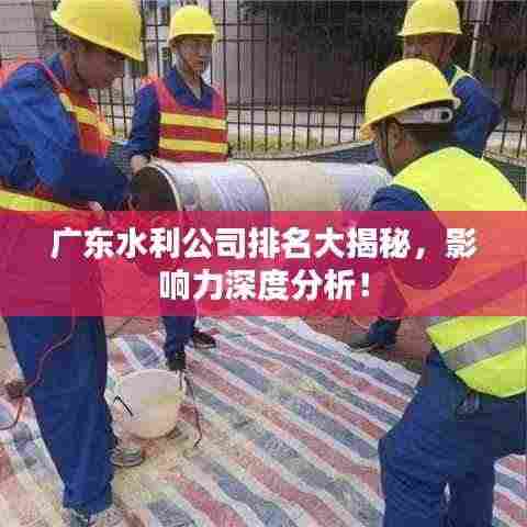 广东水利公司排名大揭秘,影响力深度分析!