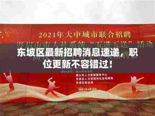 东坡区最新招聘消息速递,职位更新不容错过!