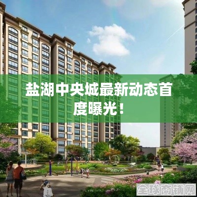 盐湖中央城最新动态首度曝光！