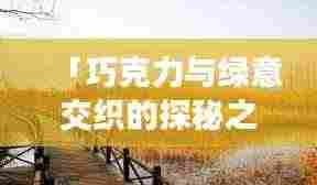 「巧克力与绿意交织的探秘之旅，崇明旅游攻略大全」