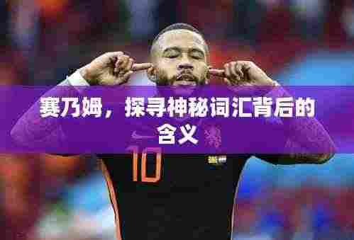 赛乃姆,探寻神秘词汇背后的含义