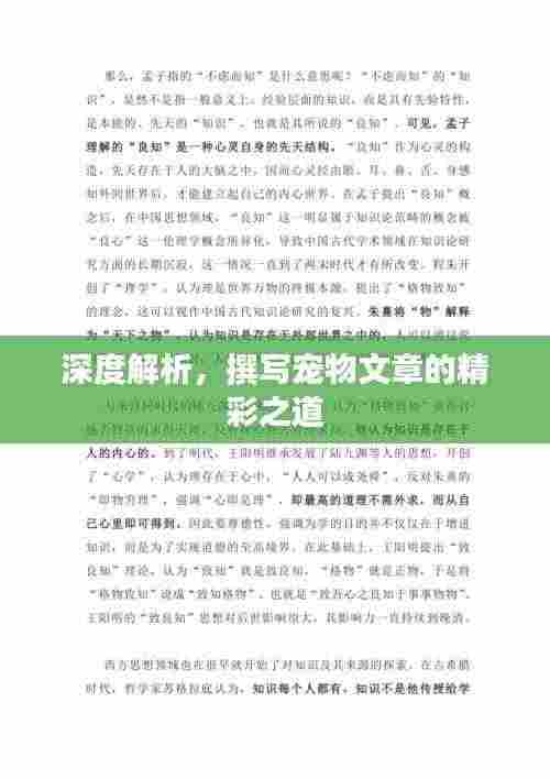 深度解析，撰写宠物文章的精彩之道