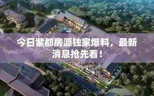 今日紫都房源独家爆料,最新消息抢先看!