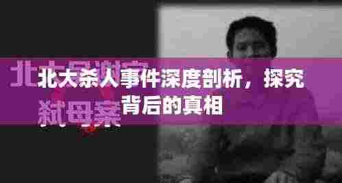 布被瓦器 第3页