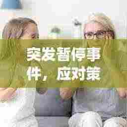 突发暂停事件，应对策略与深度反思