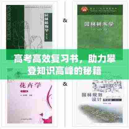 高考高效复习书，助力攀登知识高峰的秘籍