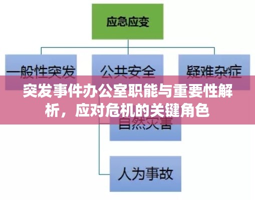 突发事件办公室职能与重要性解析，应对危机的关键角色