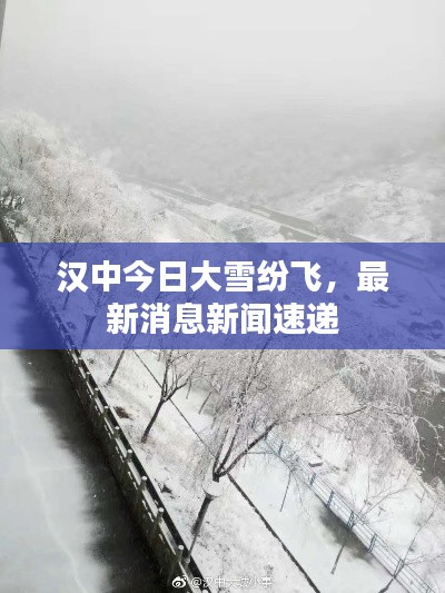 择善而从 第3页