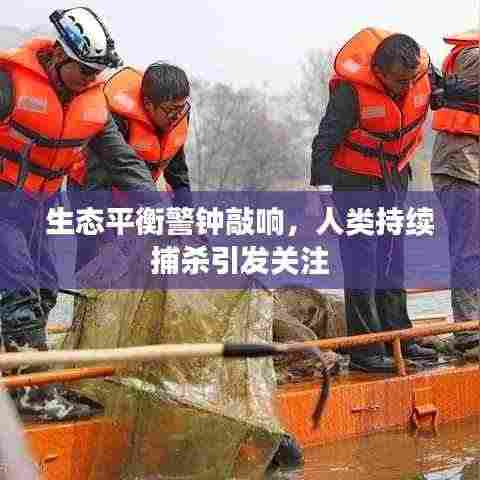生态平衡警钟敲响,人类持续捕杀引发关注