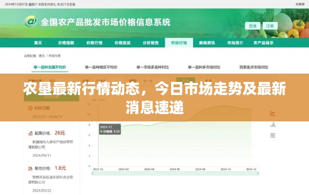 农垦最新行情动态，今日市场走势及最新消息速递